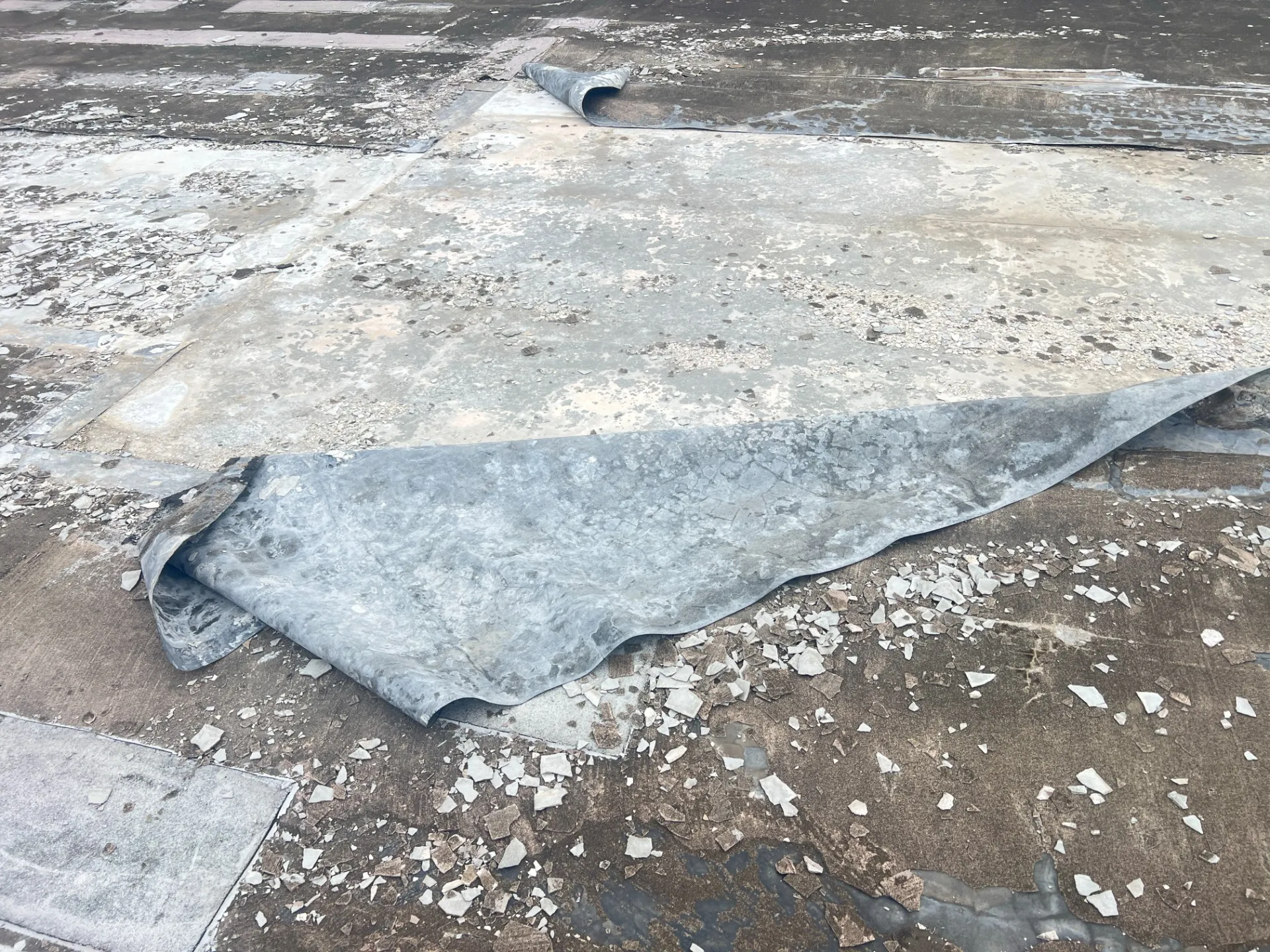 シート防水のデメリットとウレタン防水の選び方北海道ならではの注意点